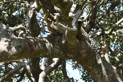 DSC_3946 (Large).JPG